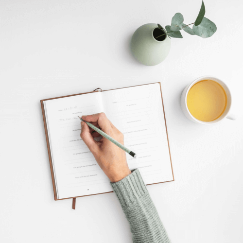 gezond gewicht met een eet dagboek 1048