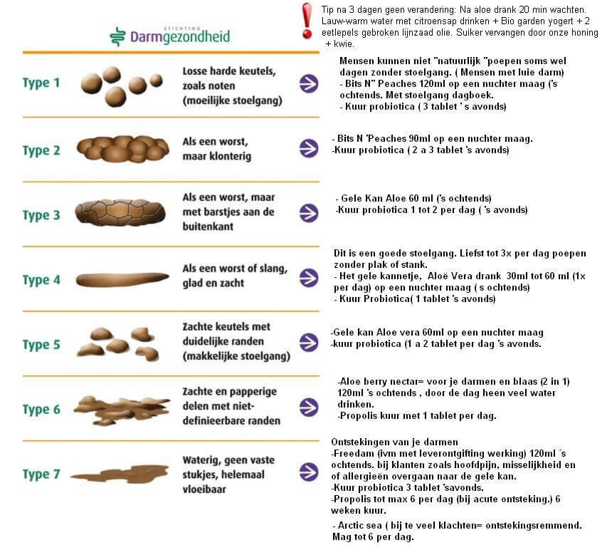 Darmflora verbeteren geen overbodige luxe! How2behealthy