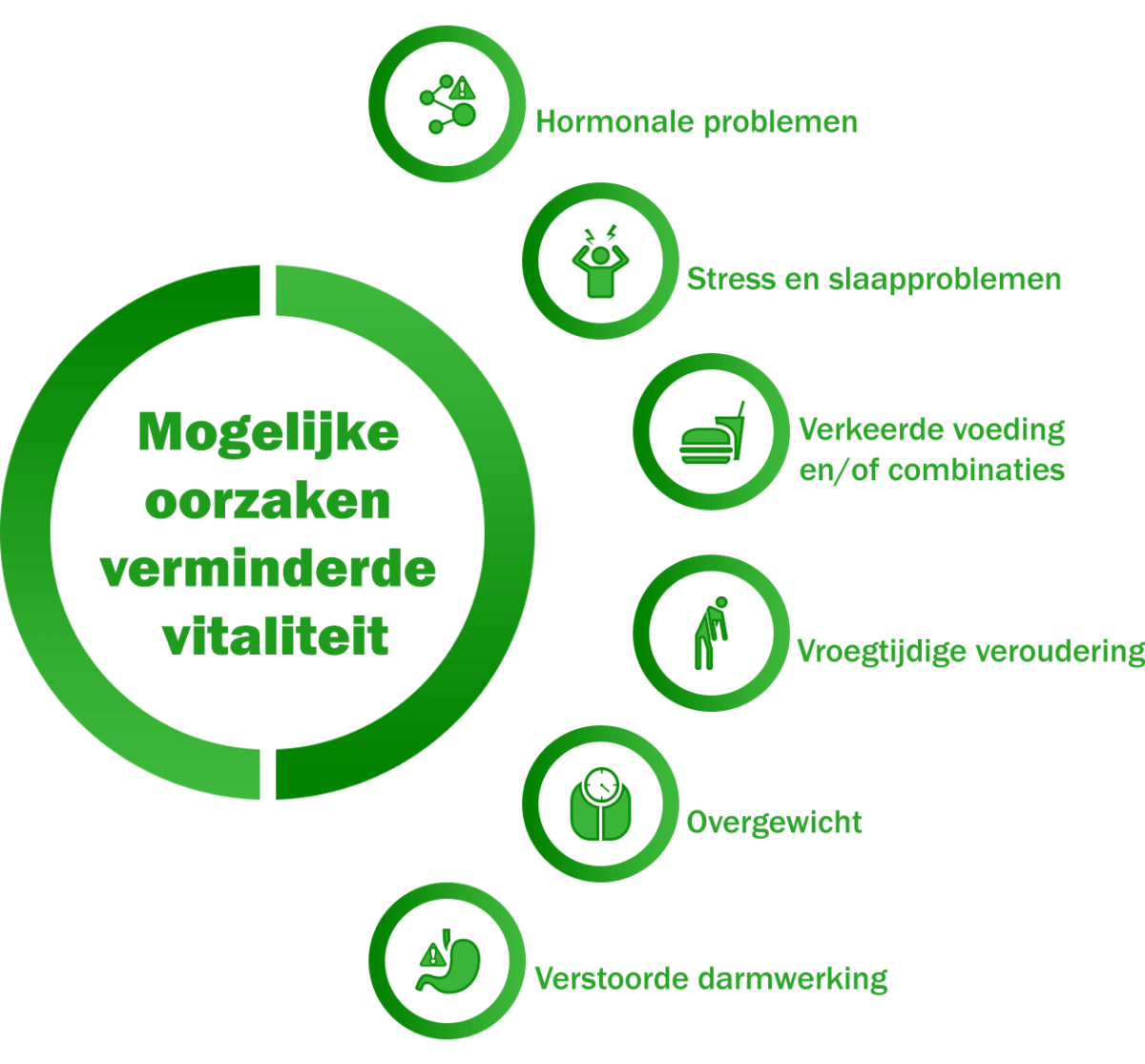 Vitaliteitsprogramma